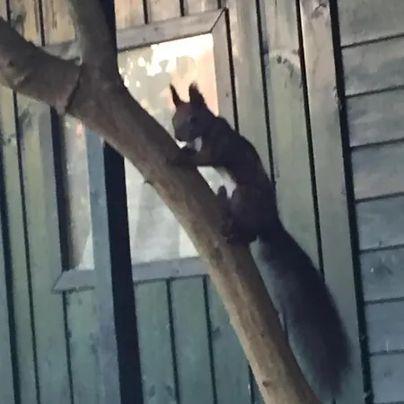 Herbert Apartamento *